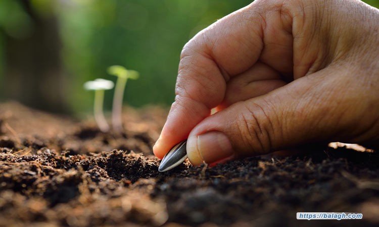 الرغبة الصادقة في مساعدة الناس